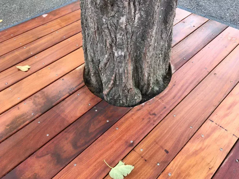 terrasse autour arbre